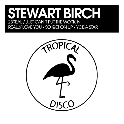 Stewart Birch - 2BReal - Just Can't Put The Work In - Really Love You - So Get On Up - Yoda Star [TDR306]